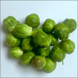 Catskill Brussel Sprouts