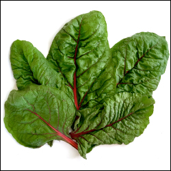 Ruby Red Chard seeds