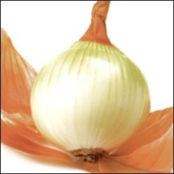 Walla Walla Onion seeds