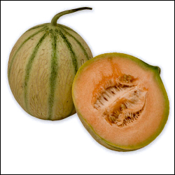 Charentais Melon seeds
